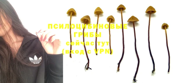 ECSTASY Абаза