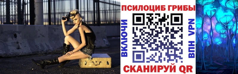 купить наркотики цена  Тогучин  Псилоцибиновые грибы мухоморы 